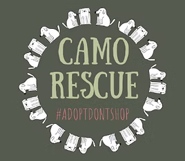 camo rectangle logo.png